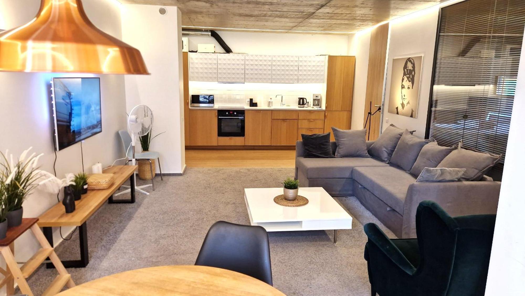 Kauno-Algirdo Luxury Apartments VNO Kültér fotó