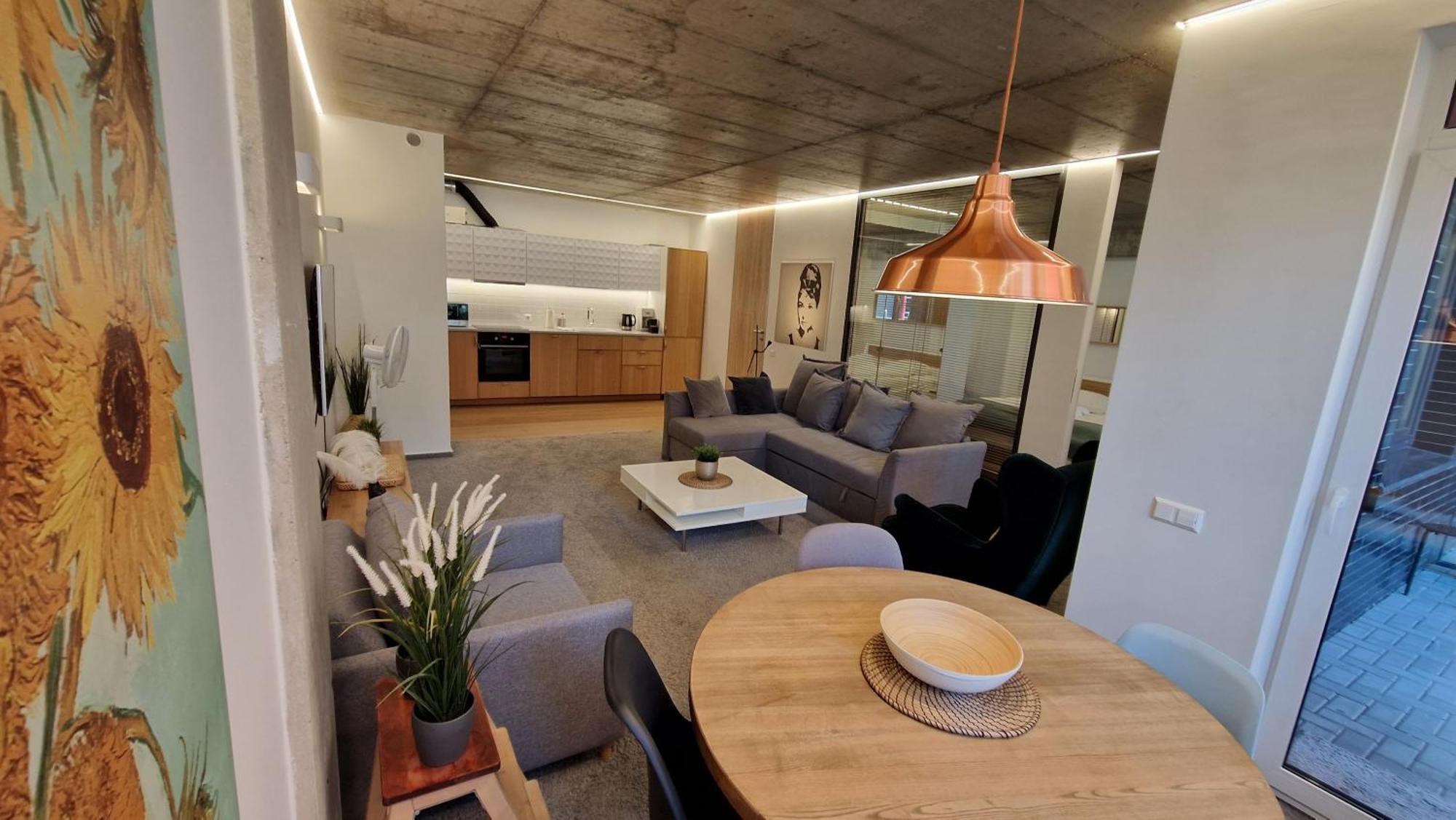 Kauno-Algirdo Luxury Apartments VNO Kültér fotó