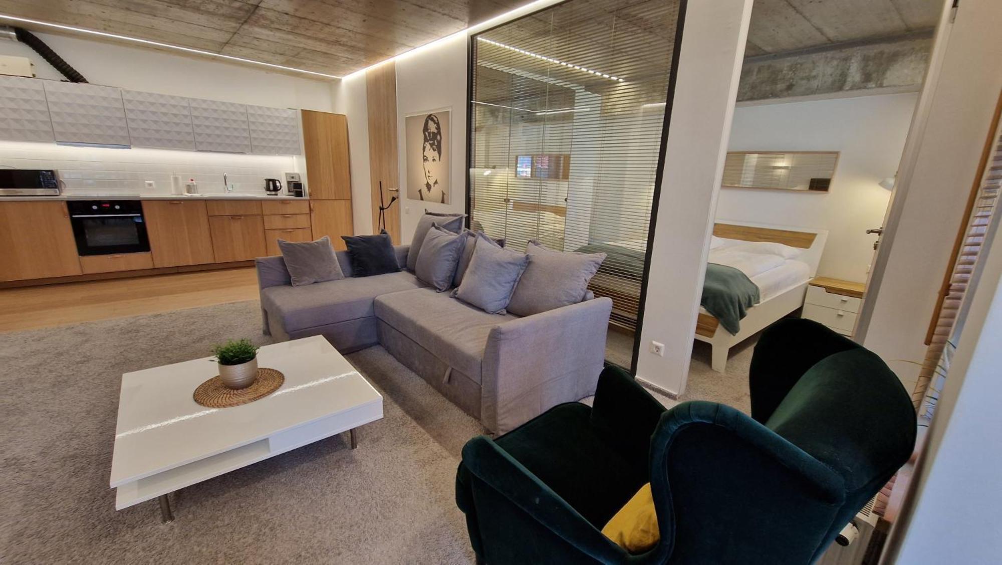 Kauno-Algirdo Luxury Apartments VNO Kültér fotó